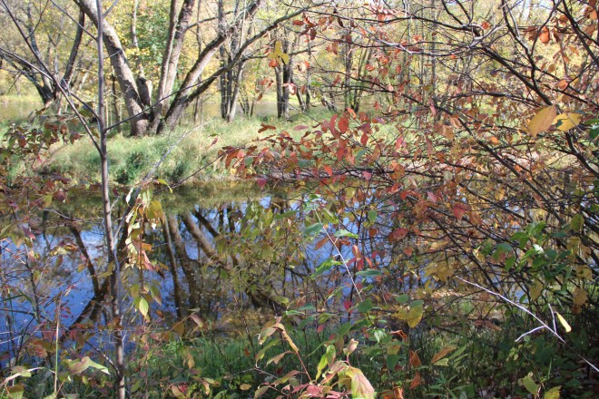 In late autumn, the river...