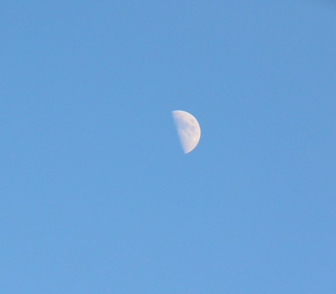 The mid-December moon is often visible during the day.